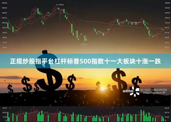 正规炒股指平台杠杆标普500指数十一大板块十涨一跌